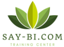 Say-BI Technologies Functional Training institute in Pune