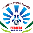 Photo of Perfect Academy