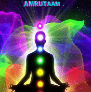 Amrutaam Yoga institute in Pune