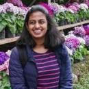 Photo of Neeharika J.