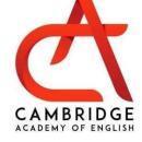 Cambridge Academy photo