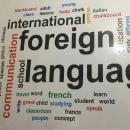 International Foreign Languages Typing institute in Delhi