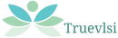 True VLSI Learning Center photo