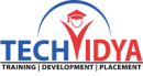 TechVidya Career Pvt. Ltd photo