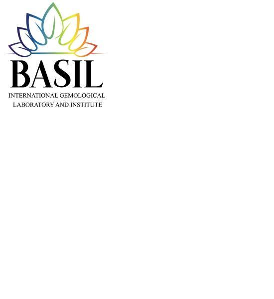 Basil International Gemological Laboratory & Institute in Abids, Hyderabad