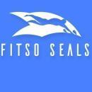 Fitso - Premium Swimming Classes in Delhi Sports Coaching institute in Delhi