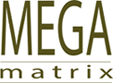 Photo of Mega Matrix Pvt Ltd