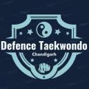 Taekwondo And Self Defence Academy Martial Arts Training institute in Chandigarh
