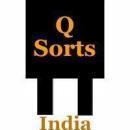 Q-Sorts India photo