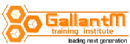 Photo of GallantM Training Institute