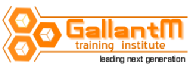 GallantM Training Institute .Net institute in Chennai