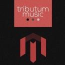 Tributum Music Advanced Placement Tests Coaching institute in Delhi