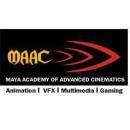 MAAC Greater Noida Adobe Illustrator institute in Noida