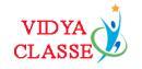 Vidya Institute IT Courses institute in Mumbai