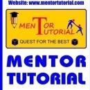 Photo of Mentor Tutorial