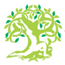 Live With Yoga photo