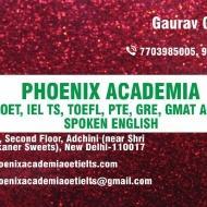 Phoenix Academia PTE Academic Exam institute in Delhi