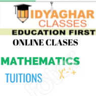 Vidyaghar Classes Class 11 Tuition institute in Gurgaon