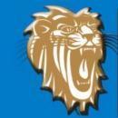 Networking Lions CCNA Training institute in Ghaziabad