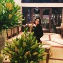 True Vision Academy photo