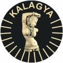 Kalagya Arts & Music Institute photo