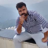 Whole Digital Marketing