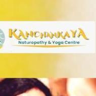 Kanchankaya Naturopathy and Yoga Centre Yoga institute in Lucknow