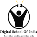 Digital School of India Software Training Institutes institute in Faridabad