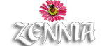 Zennia Dance institute in Gurgaon