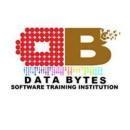 Databytes .Net Training institute in Bangalore