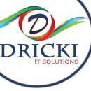 Dricki- Digital Marketing Course in Rohtak Internet & Digital Media institute in Rohtak
