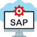 Pavan kumar K. SAP trainer in Hyderabad