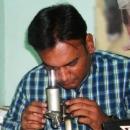 Bitevolution Technology photo