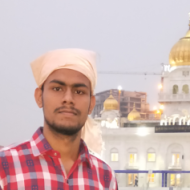 Manish Kumar Singh Class I-V Tuition trainer in Delhi