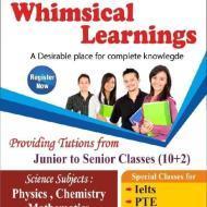 Whimsical Learnings Class 10 institute in Amritsar