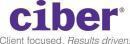 Photo of Cibersites India Private Limited