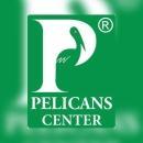 Pelicans Expert Tutorials photo