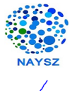 Naysz Academy C Language institute in Huzur