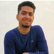 Kartik K. Class I-V Tuition trainer in Delhi