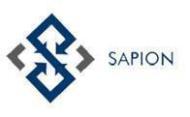 Sapion Global IT Training SAP institute in Hyderabad