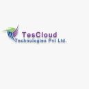 Tes Cloud Technologies Pvt Ltd Programming Languages institute in Chennai