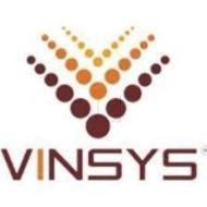 VINSYS Class 10 institute in Pune