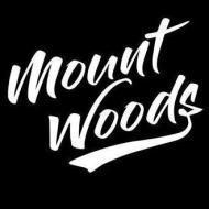 Mount Woods Studio Digital Marketing institute in Solan