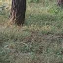 Photo of Mohita V.