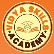 Vidya skill Academy Computer Course institute in Kanpur