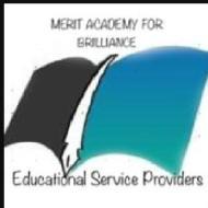 Merit Academy for Brilliance Class 12 Tuition institute in Chennai