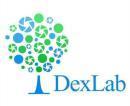 Photo of Dex Lab