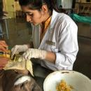 Dr sakshi picture