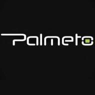 Palmeto Solutions Red Hat institute in Hyderabad