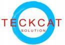 Teckcat Solutiton CCNP Certification institute in Noida